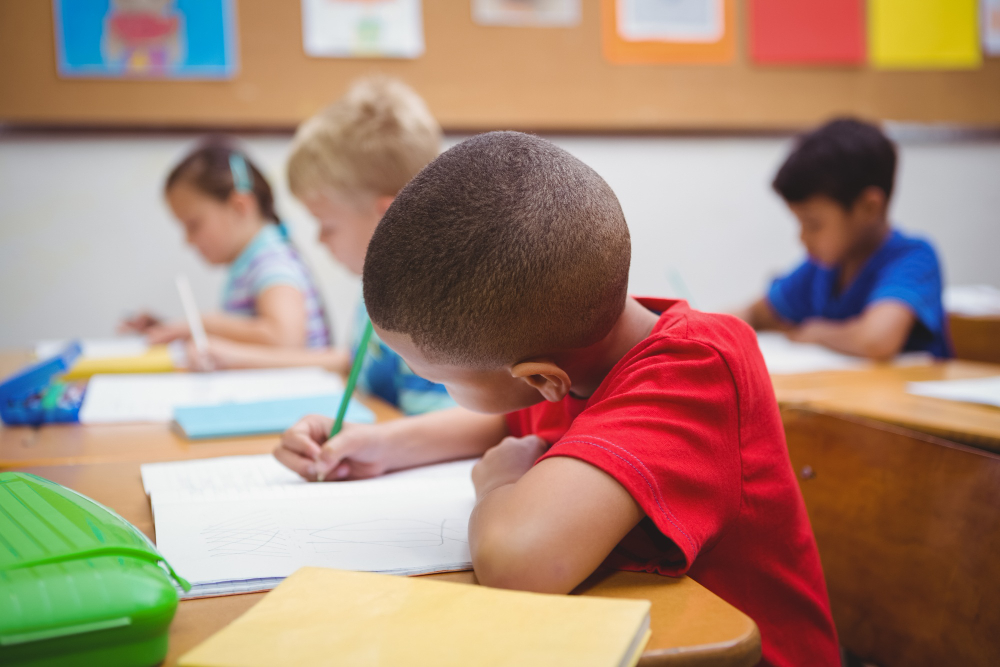 Houston schools for gifted students Rainard